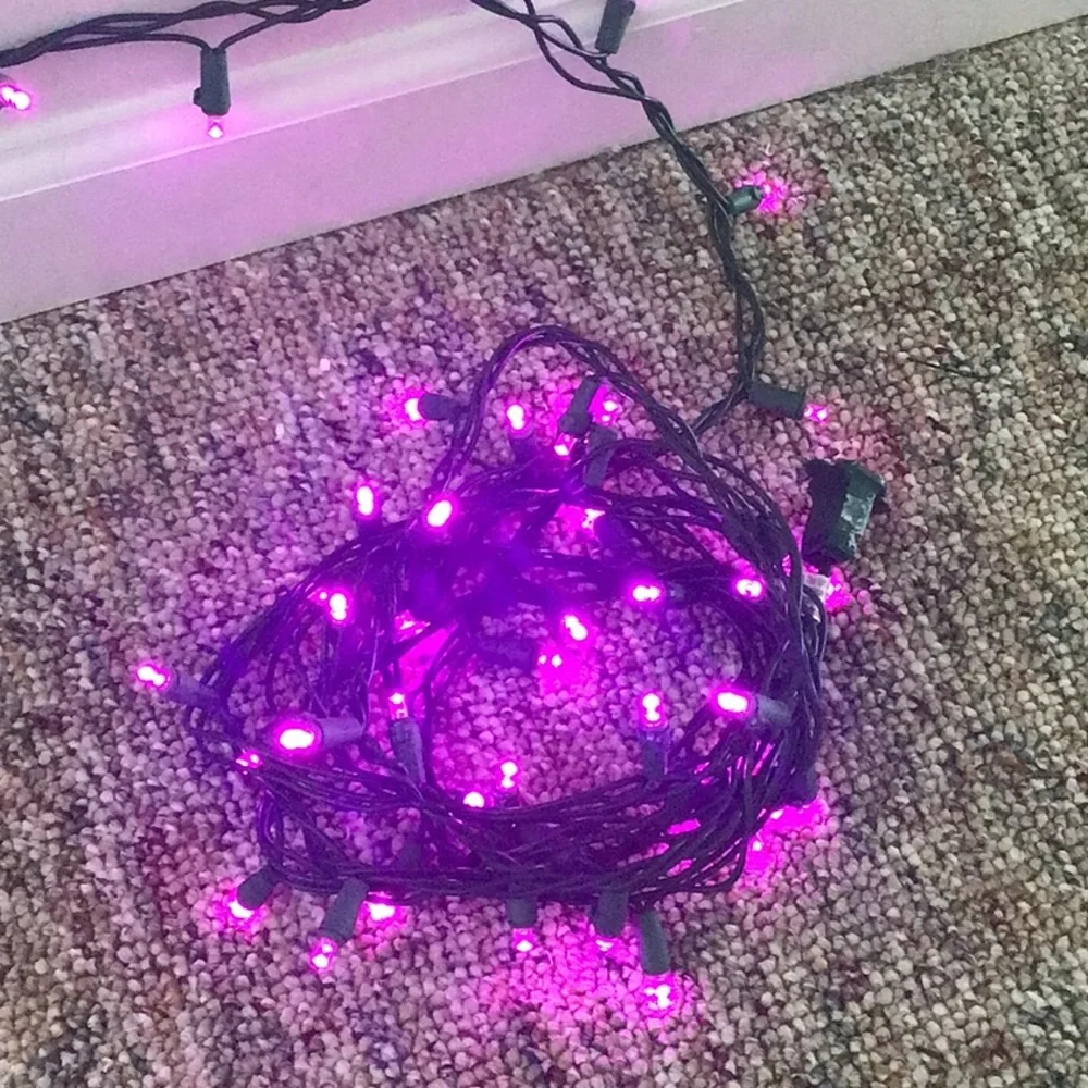 Bright Purple pink light strand 1 left!!!